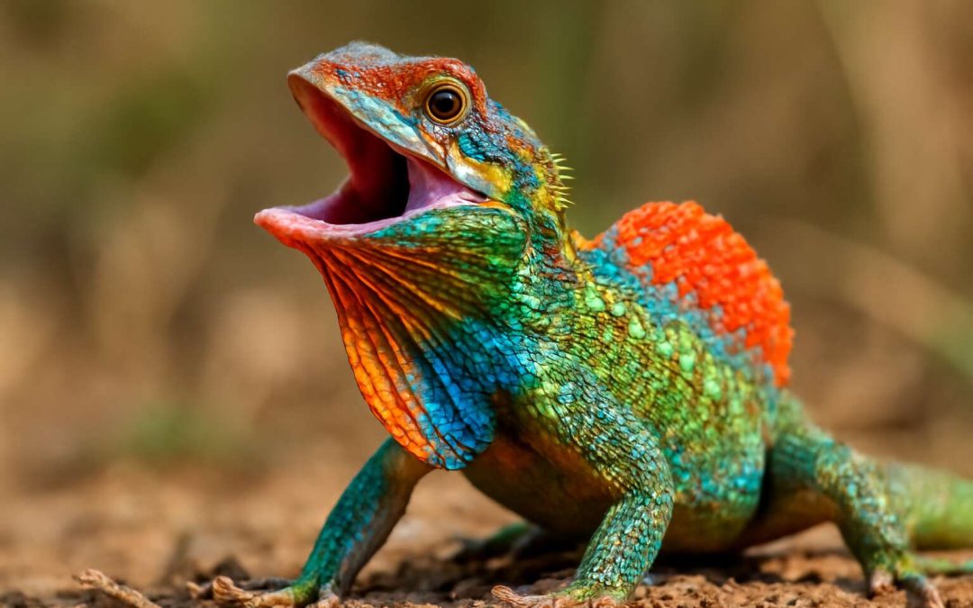 Pepper Spray Lizard: The Surprising Defense Mechanism of Nature’s Smallest Guard Dog
